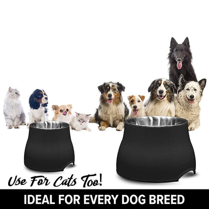 Quality Elevated Bowl for Dogs Stainless Steel Removable Nontoxic Pet Bowl with Stand Dishwasher Safe Puppy Feeding